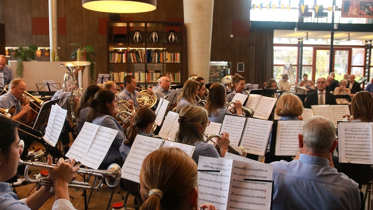 muzikaal concert sonnehove 14